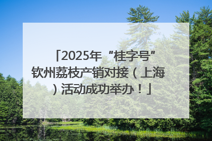 2025年“桂字号”钦州荔枝产销对接（上海）活动成功举办！