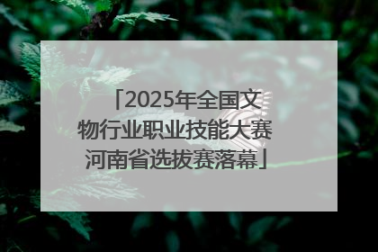 2025年全国文物行业职业技能大赛河南省选拔赛落幕