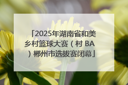 2025年湖南省和美乡村篮球大赛（村 BA）郴州市选拔赛闭幕