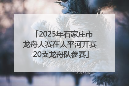 2025年石家庄市龙舟大赛在太平河开赛 20支龙舟队参赛