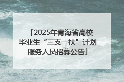 2025年青海省高校毕业生“三支一扶”计划服务人员招募公告