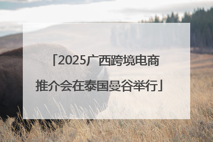 2025广西跨境电商推介会在泰国曼谷举行