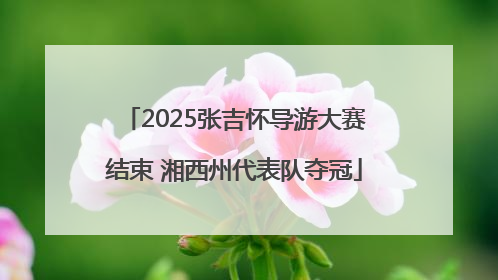 2025张吉怀导游大赛结束 湘西州代表队夺冠