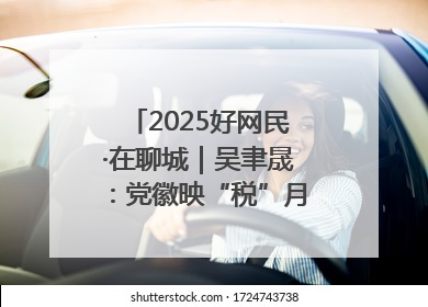 2025好网民·在聊城｜吴聿晟：党徽映“税”月 网播传政声