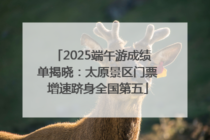 2025端午游成绩单揭晓：太原景区门票增速跻身全国第五