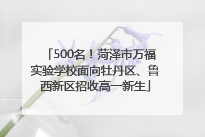 500名！菏泽市万福实验学校面向牡丹区、鲁西新区招收高一新生