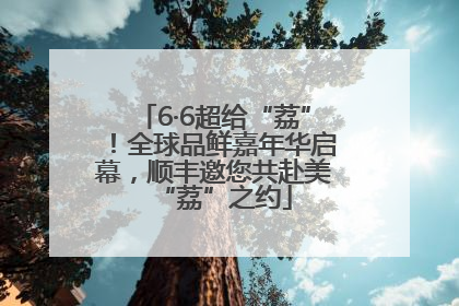 6·6超给“荔”！全球品鲜嘉年华启幕，顺丰邀您共赴美“荔”之约