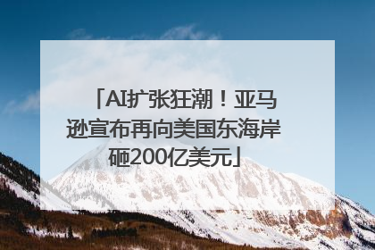 AI扩张狂潮！亚马逊宣布再向美国东海岸砸200亿美元